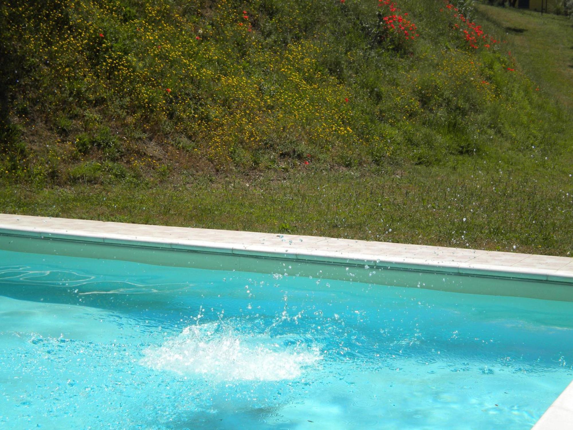 Il Poggio Delle Ginestre Guest House Торджано Екстериор снимка
