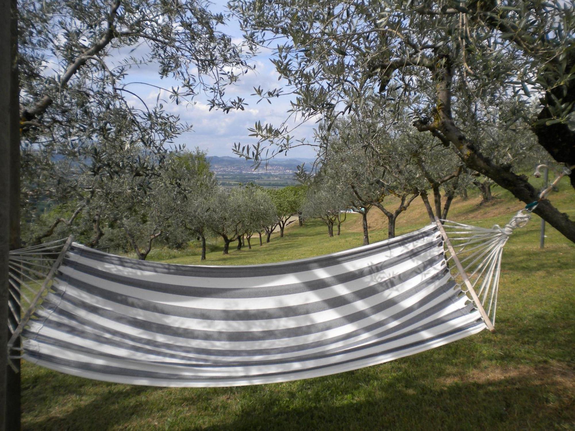Il Poggio Delle Ginestre Guest House Торджано Екстериор снимка