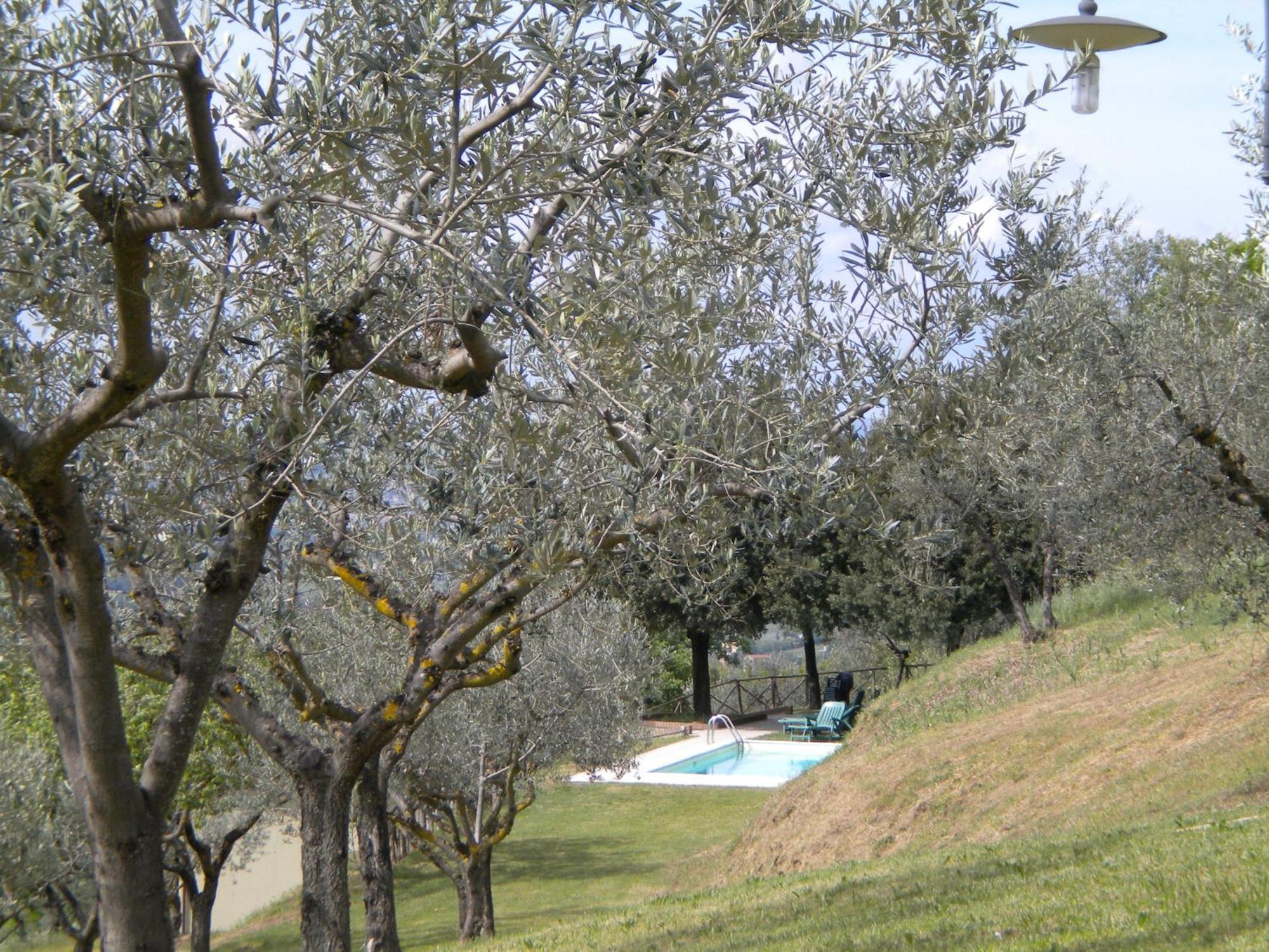 Il Poggio Delle Ginestre Guest House Торджано Екстериор снимка