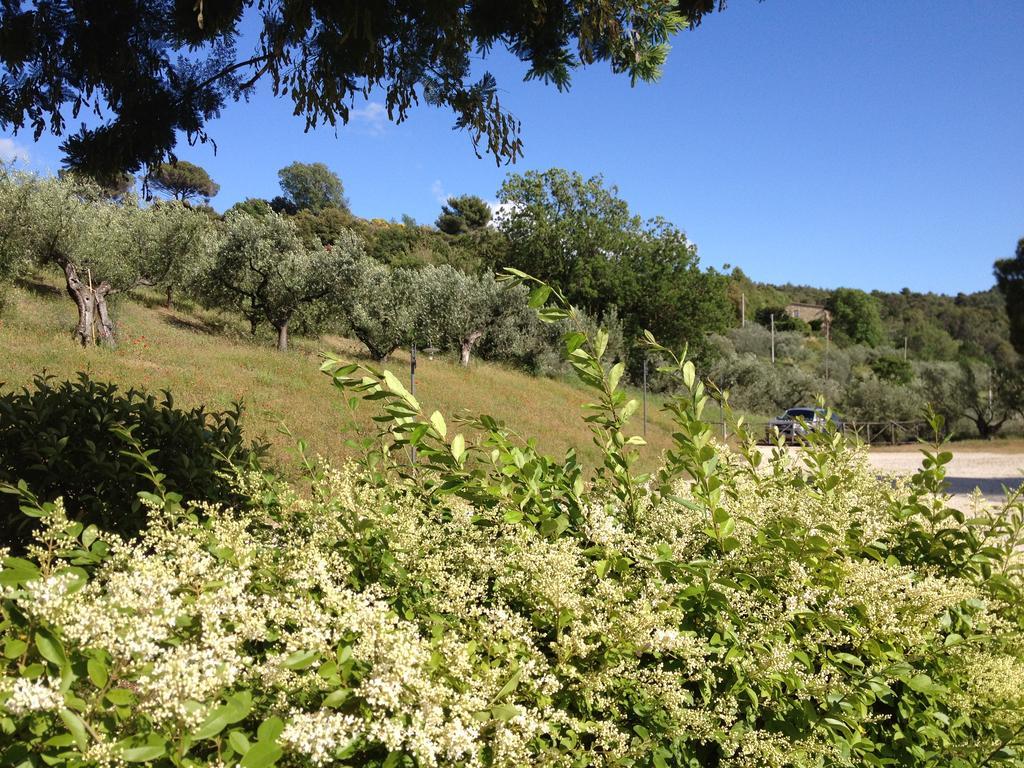 Il Poggio Delle Ginestre Guest House Торджано Екстериор снимка